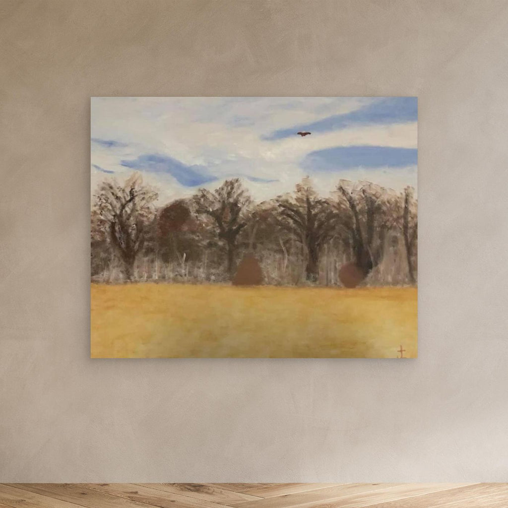 Elm Crest Park in the spring time : Jonathan Lysdahl