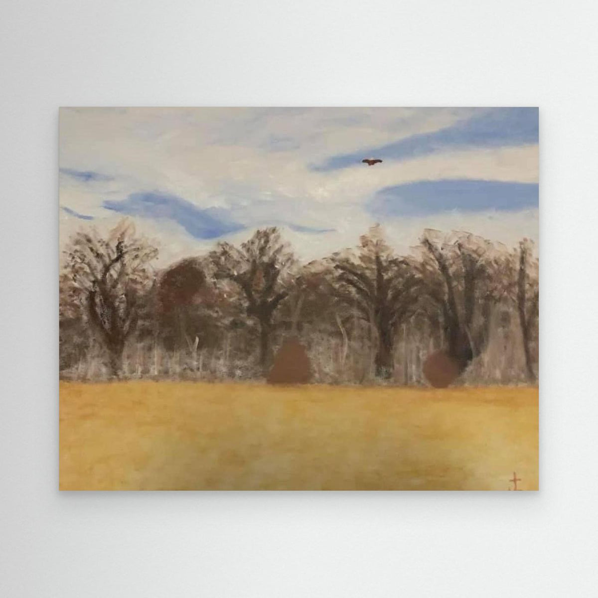 Elm Crest Park in the spring time : Jonathan Lysdahl